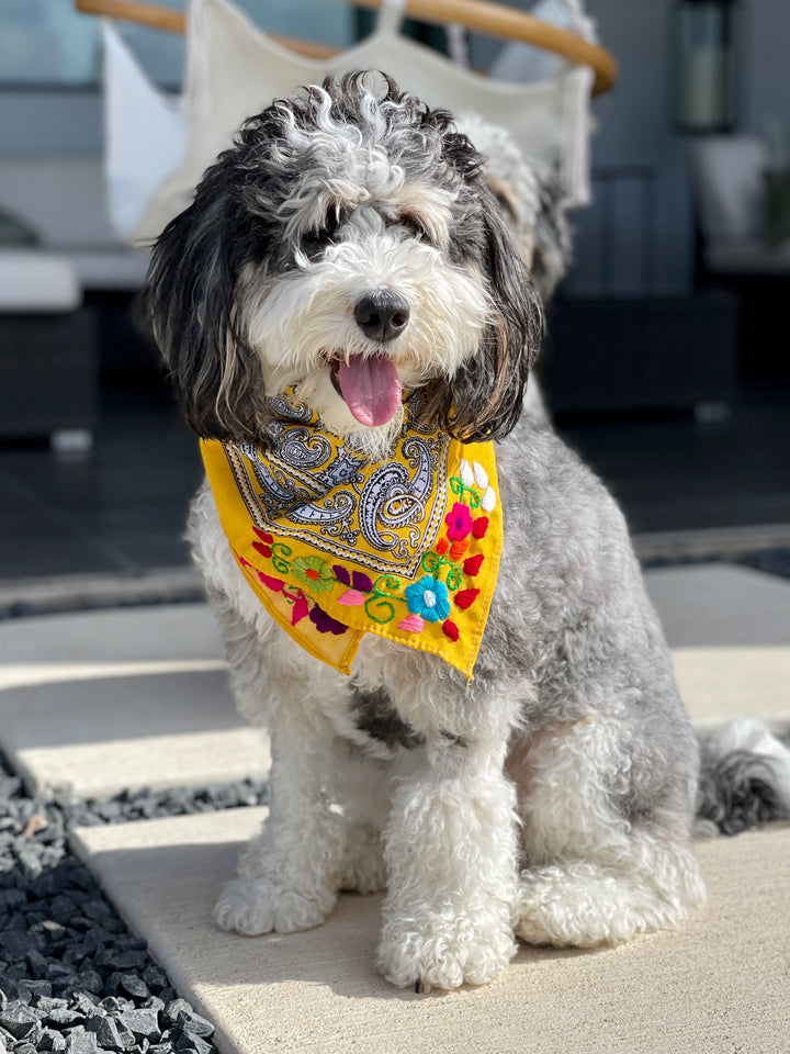 Embroidered Cotton Bandanas - Bootsologie